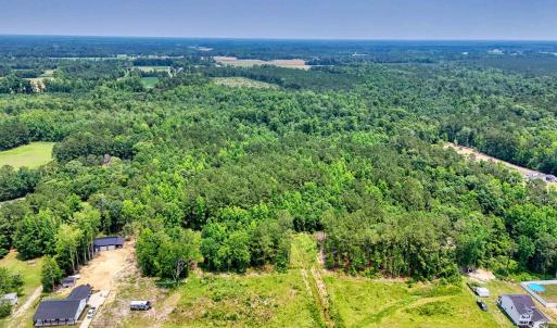 Drone / aerial view of a forest