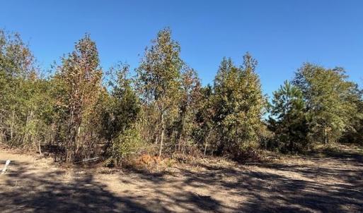 Photo #19 of 9.76 Acs Rabon Rd., Aynor, SC 9.8 acres