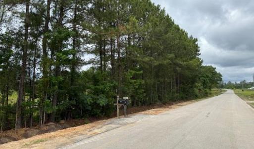 Photo #10 of 9.76 Acs Rabon Rd., Aynor, SC 9.8 acres