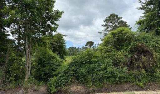 Photo #12 of 9.76 Acs Rabon Rd., Aynor, SC 9.8 acres