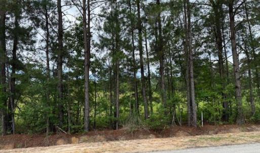 Photo #11 of 9.76 Acs Rabon Rd., Aynor, SC 9.8 acres