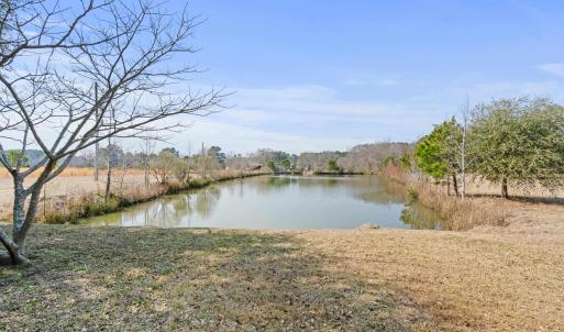 Photo #9 of 589 Loop Circle, Longs, SC 35.8 acres