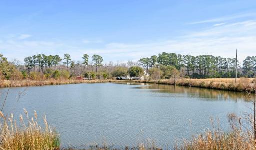 Photo #26 of 589 Loop Circle, Longs, SC 35.8 acres