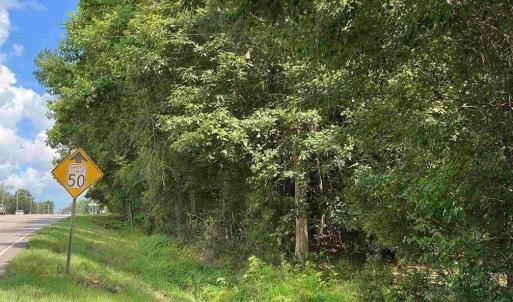 Photo #5 of TBD Highway 378, Conway, SC 27.3 acres