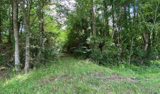 Photo #6 of TBD Highway 378, Conway, SC 27.3 acres