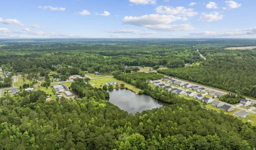 Drone / aerial view of a forest and a large body o