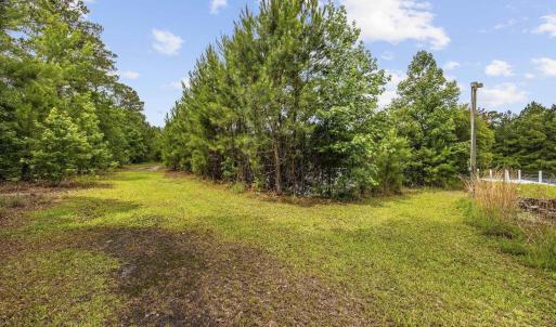 View of yard featuring a view of trees