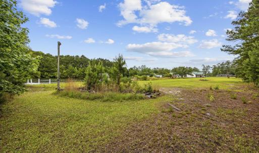 View of grassy yard