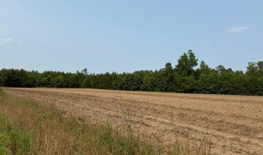 Photo #3 of Lot 9 Mack Rd., Conway, SC 2.0 acres