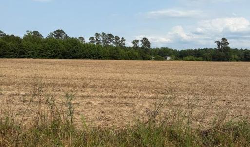 Photo #6 of Lot 9 Mack Rd., Conway, SC 2.0 acres