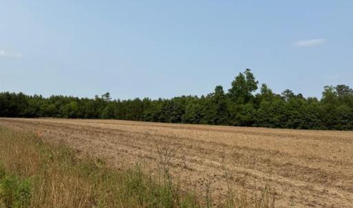 Photo #4 of Lot 9 Mack Rd., Conway, SC 2.0 acres