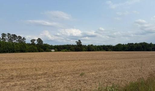 Photo #5 of Lot 9 Mack Rd., Conway, SC 2.0 acres