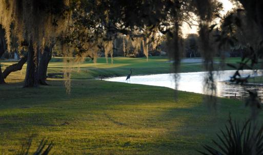 Photo #12 of Lot 81 Brandon Way, Georgetown, SC 0.5 acres