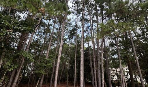 Photo #9 of Lot 81 Brandon Way, Georgetown, SC 0.5 acres