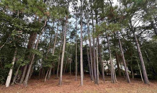 Photo #8 of Lot 81 Brandon Way, Georgetown, SC 0.5 acres
