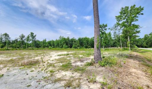 Photo #2 of 5375 Long Branch Swamp Rd., Nichols, SC 2.5 acres