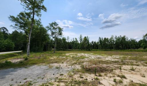 Photo #5 of 5375 Long Branch Swamp Rd., Nichols, SC 2.5 acres