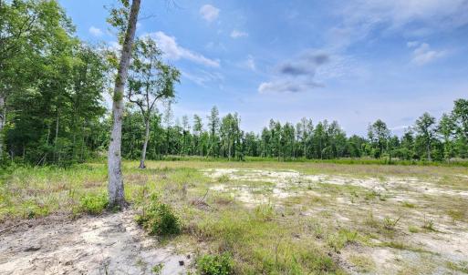 Photo #4 of 5375 Long Branch Swamp Rd., Nichols, SC 2.5 acres