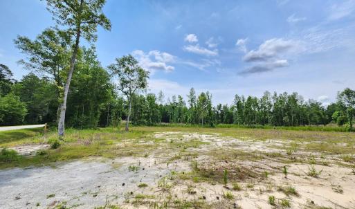 Photo #3 of 5375 Long Branch Swamp Rd., Nichols, SC 2.5 acres