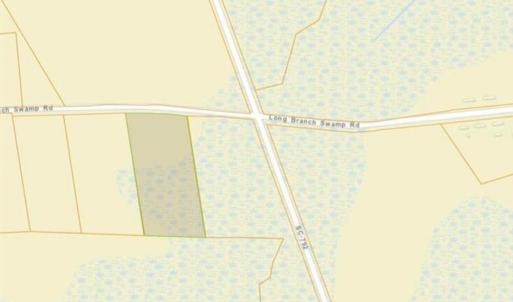 Photo #6 of 5375 Long Branch Swamp Rd., Nichols, SC 2.5 acres