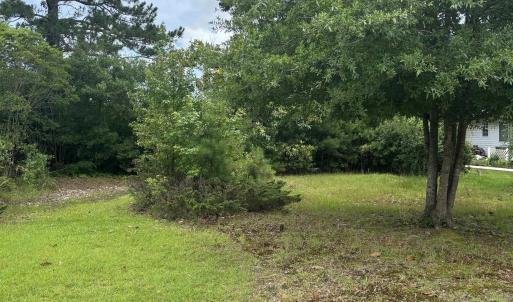 View of grassy yard