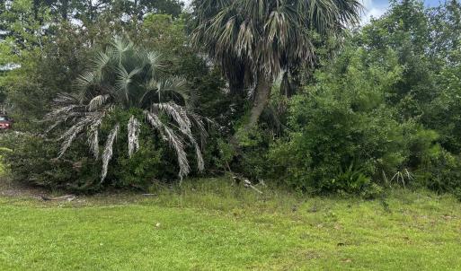 View of grassy yard