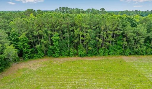 View of grassy yard with a forest view