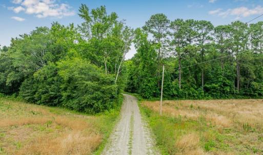 View of street featuring a forest view