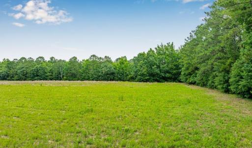 View of yard with a wooded view