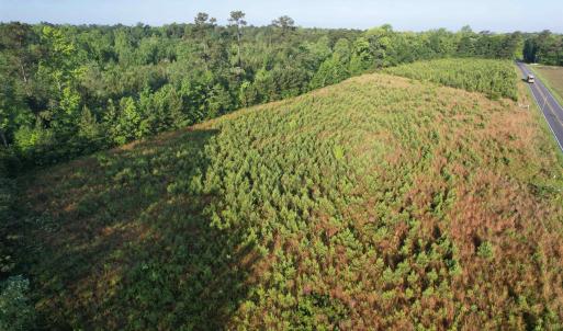 Photo #4 of 7 Acres Old Pee Dee Rd., Hemingway, SC 7.0 acres