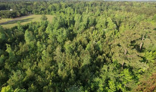 Photo #5 of 7 Acres Old Pee Dee Rd., Hemingway, SC 7.0 acres