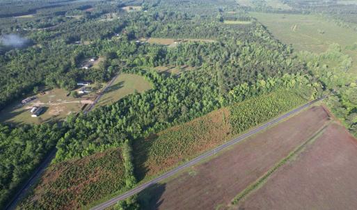 Photo #6 of 7 Acres Old Pee Dee Rd., Hemingway, SC 7.0 acres