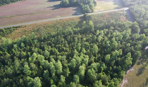 Photo #8 of 7 Acres Old Pee Dee Rd., Hemingway, SC 7.0 acres