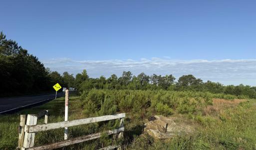 Photo #2 of 7 Acres Old Pee Dee Rd., Hemingway, SC 7.0 acres