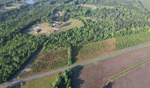 Photo #7 of 7 Acres Old Pee Dee Rd., Hemingway, SC 7.0 acres