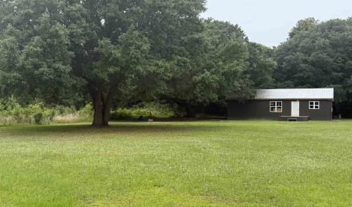 View of grassy yard featuring a wooded view