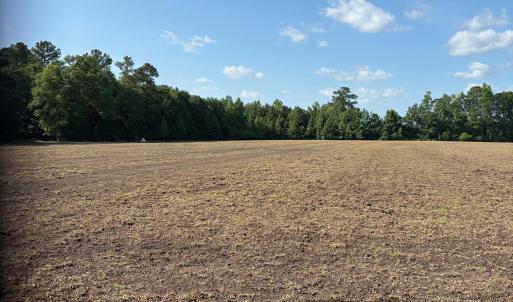 View of woods with a view of rural / pastoral area