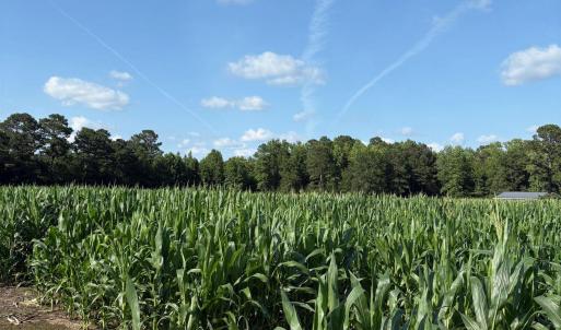 View of undeveloped land featuring extensive farml