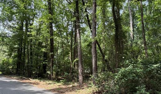 View of asphalt road featuring a view of trees