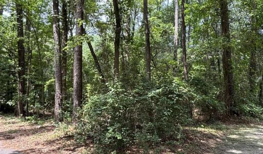 View of wooded area