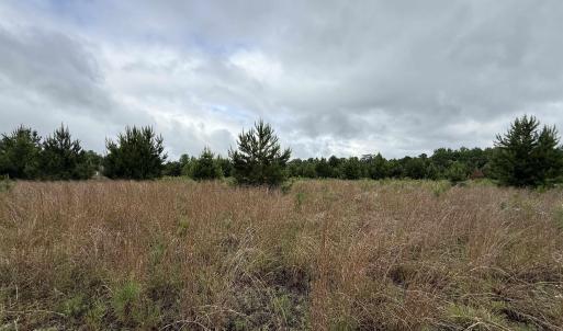 Photo #3 of Macedonia Dr., Loris, SC 42.7 acres