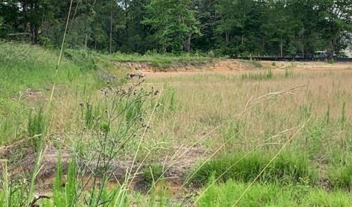 Photo #5 of 98 Wildwood St., Shallotte, NC 4.5 acres