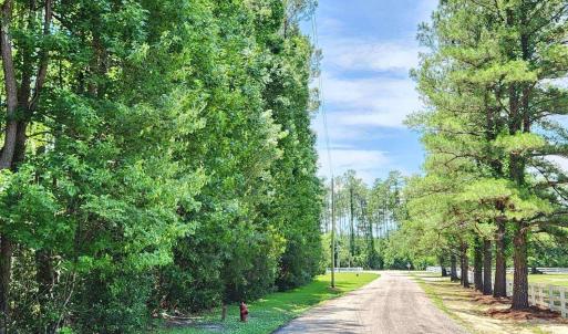 Photo #6 of 2950 Avant Ln., Conway, SC 1.6 acres