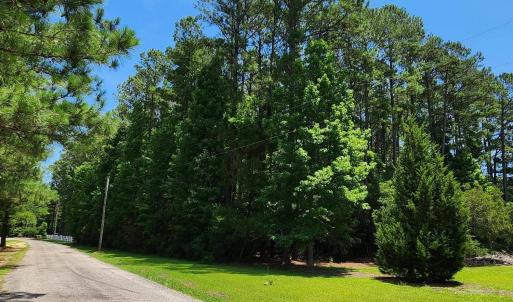 Photo #4 of 2950 Avant Ln., Conway, SC 1.6 acres