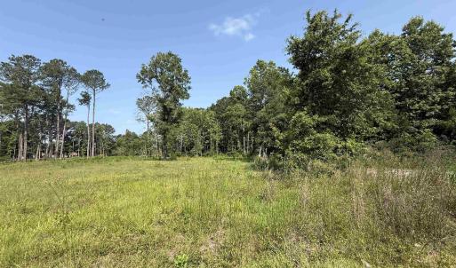 Photo #8 of TBD Samuels Ave, Salters, SC 2.0 acres