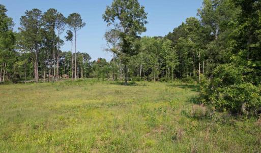 Photo #1 of TBD Samuels Ave, Salters, SC 2.0 acres