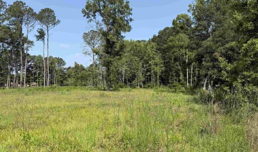 Photo #6 of TBD Samuels Ave, Salters, SC 2.0 acres
