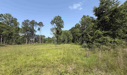 Photo #7 of TBD Samuels Ave, Salters, SC 2.0 acres