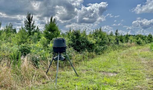 Photo #23 of FC Cox Rd., Hemingway, SC 116.0 acres