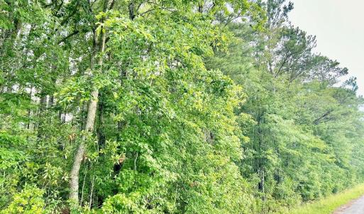 Photo #21 of FC Cox Rd., Hemingway, SC 116.0 acres